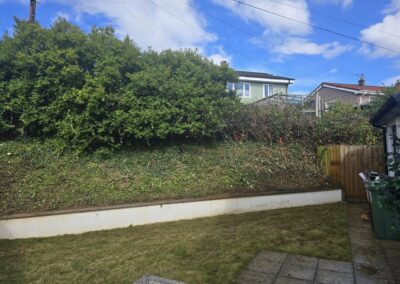 556476895 122095448121053591 5920572057003361505 n